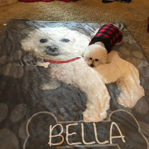 Dog blanket, photo blanket, pet blanket