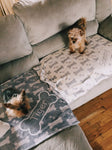 Dog blanket, photo blanket, pet blanket